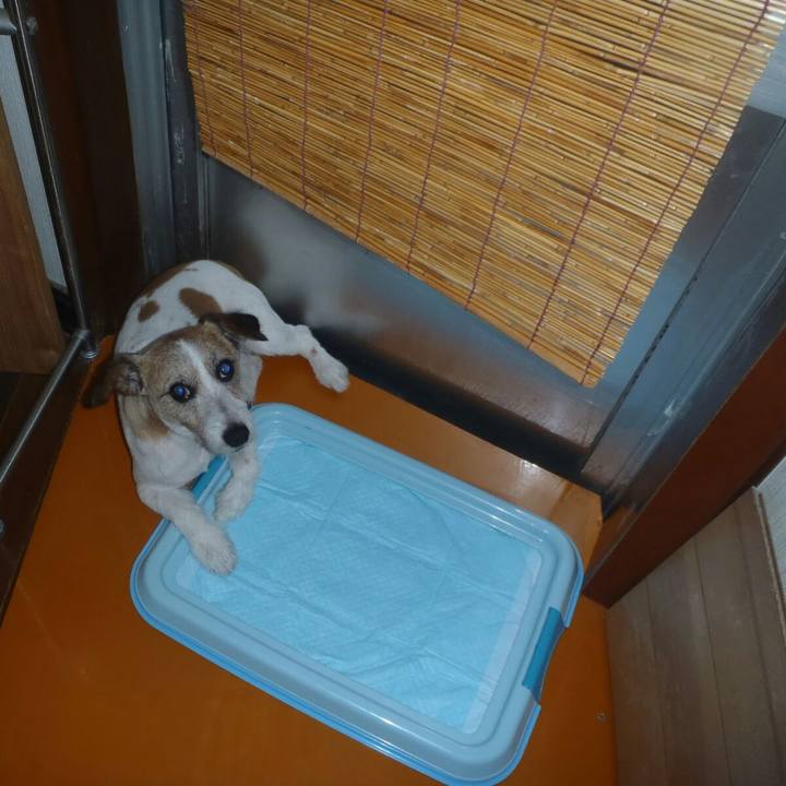 506ae377 e0b5 42d5 afc8 c153826d320a