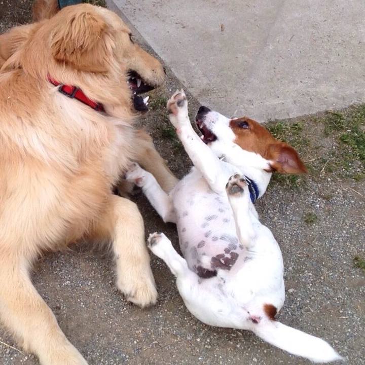 506c4ea9 abc1 4696 a1a5 b55853f7d786