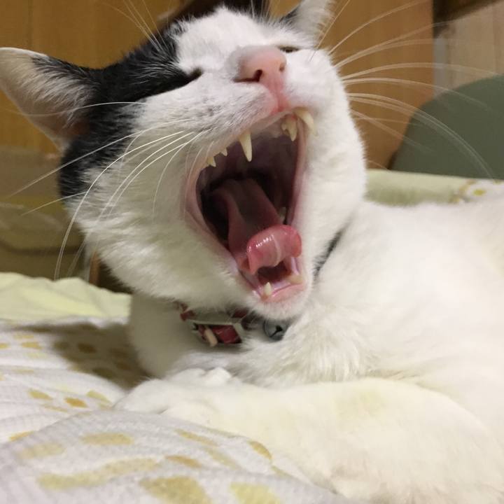 506cdce0 b08a 4cf1 baa1 43ef92b77f9f