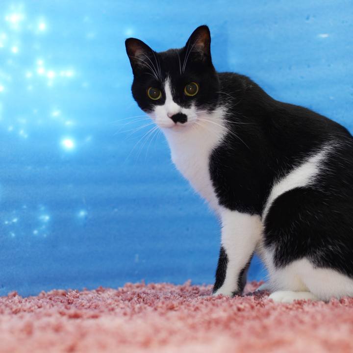 506d479d 1019 4627 aa64 5db78f77a62c