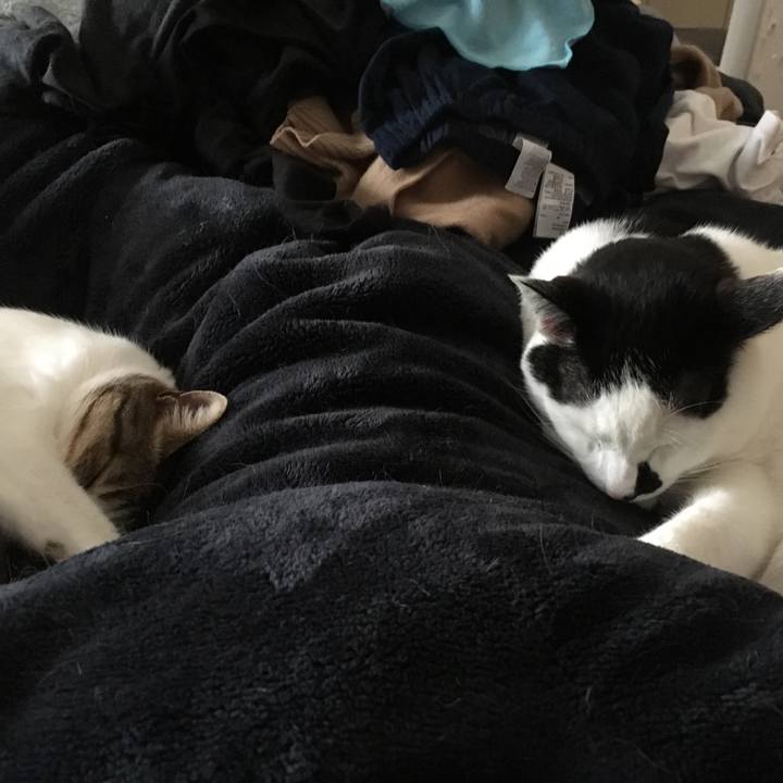 506d5b59 8816 4819 ba9c c46447a1db69