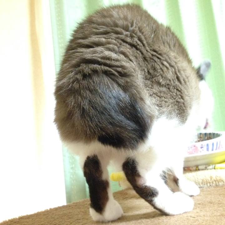 506dacb2 328b 4de2 bb80 6949eb10c8fd