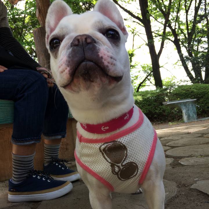 506db737 aaaf 4b9c 909c 1783c5516bc0