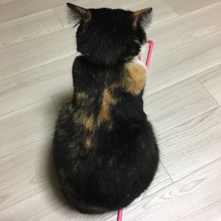 506e0854 fa8f 4996 b632 1f61dc21de61