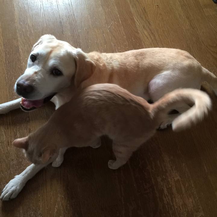 506e2c4e d580 48a2 87e9 45e423c950c0