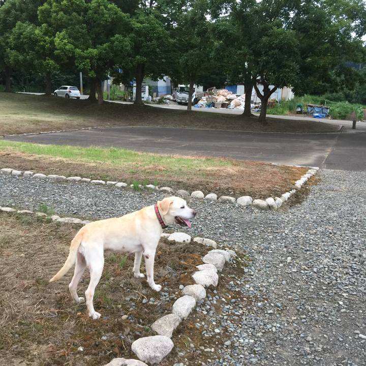 506e8316 53b1 4801 8a5c c997736e54b3