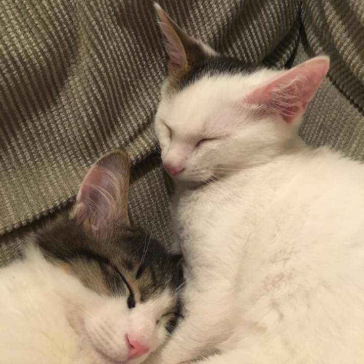 506ebbd3 4fd4 4bd2 8955 18f100fa5208