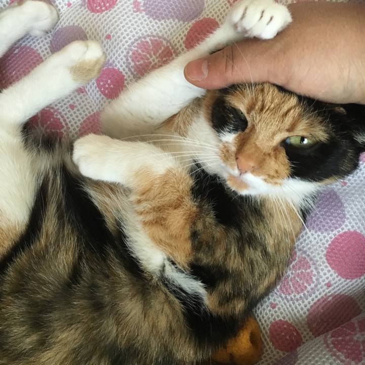 506f614c e271 423c b252 a33637e6ed84