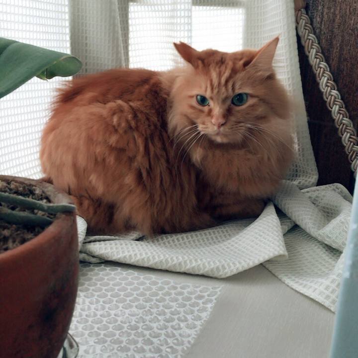 5070052b dbed 470d a9eb 1f6464e4ddac