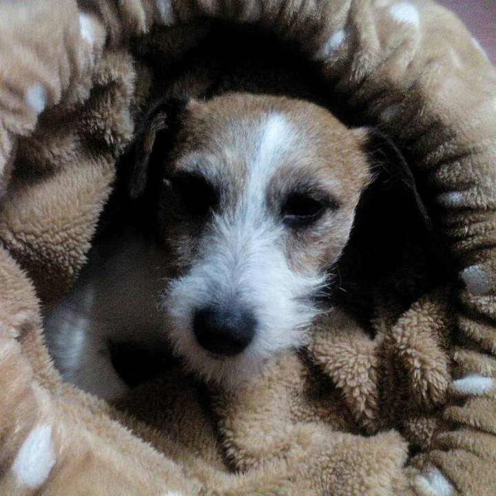 507051b1 6348 4773 9619 ac080a5eaf47