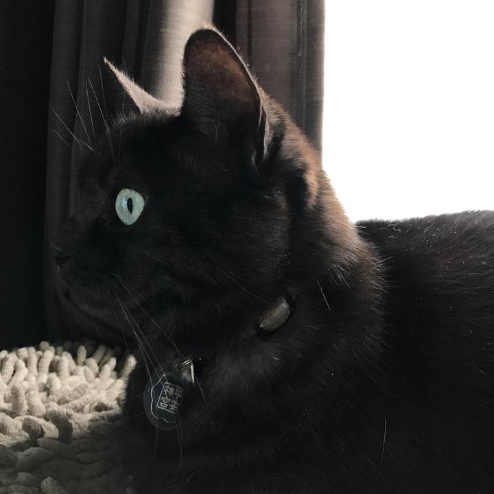 50705308 bc05 4fae 970c 80895c1609bd