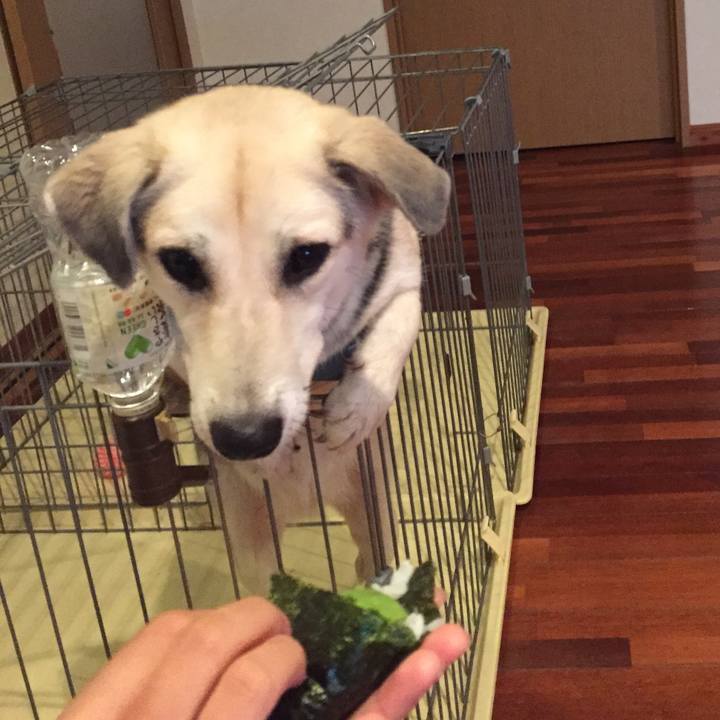 507060f4 918b 4c2f 935e f8e51e7cac6c