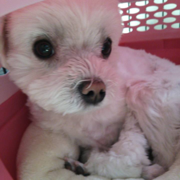 5070745b 64f0 4c74 8e46 9326ade1f275