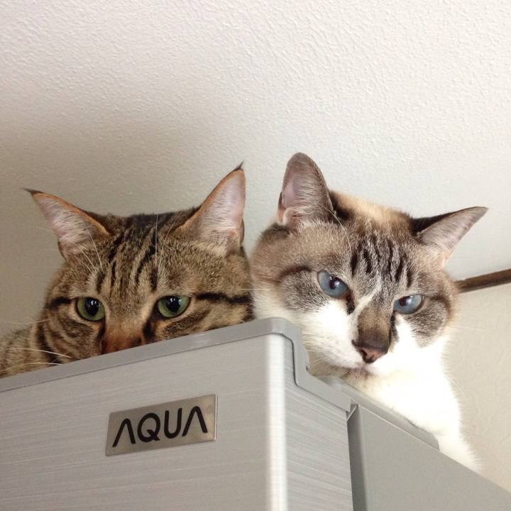 5070a8a3 b9cd 4c0b 83f5 9ff4dcb3a5a4