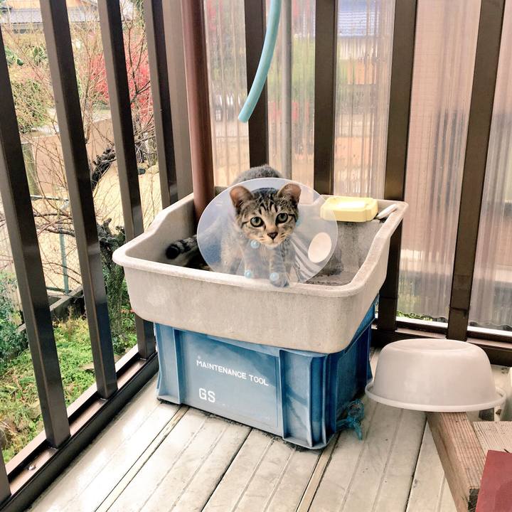 5070ef5d 3fea 4a1d a3e9 7f9e309d6367