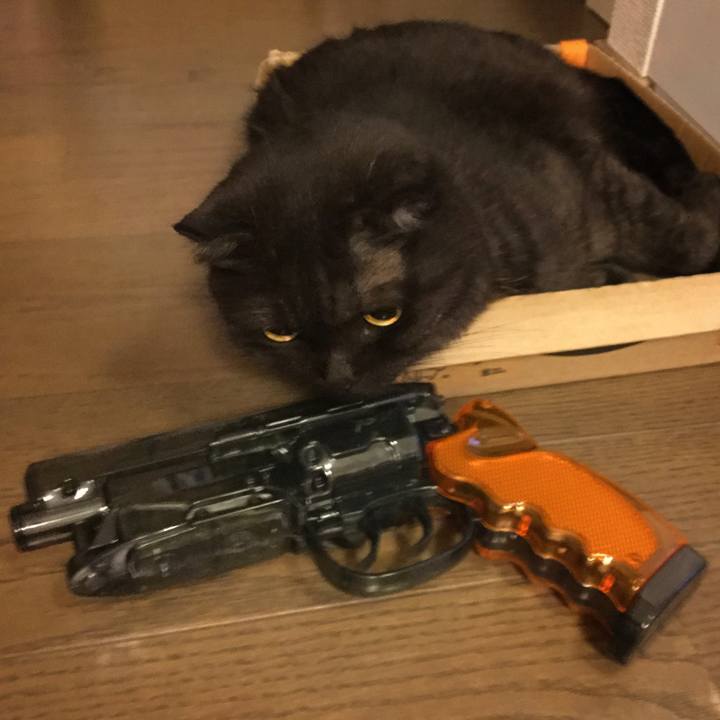 5070f2c9 989e 4dd9 90c0 3a54408cfb38