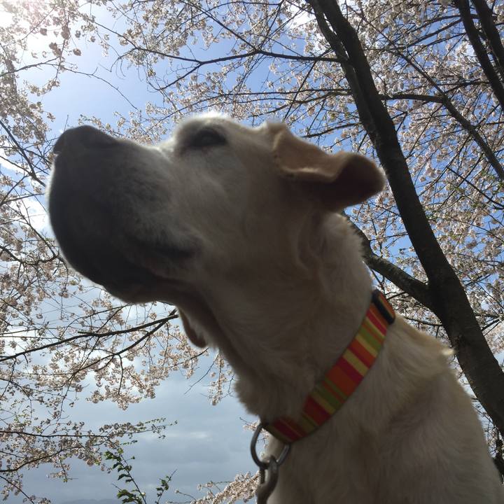 507113be 24d2 4d32 b831 fe7c7ac16252