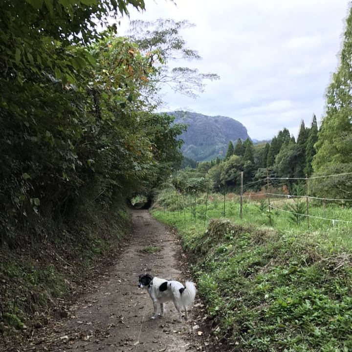 50717928 3d82 4f0f b1e5 afd118198d8f