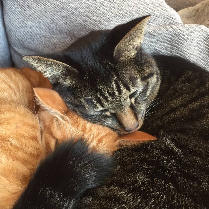 5071e4bc 070a 410c bd9a 573058450ca0