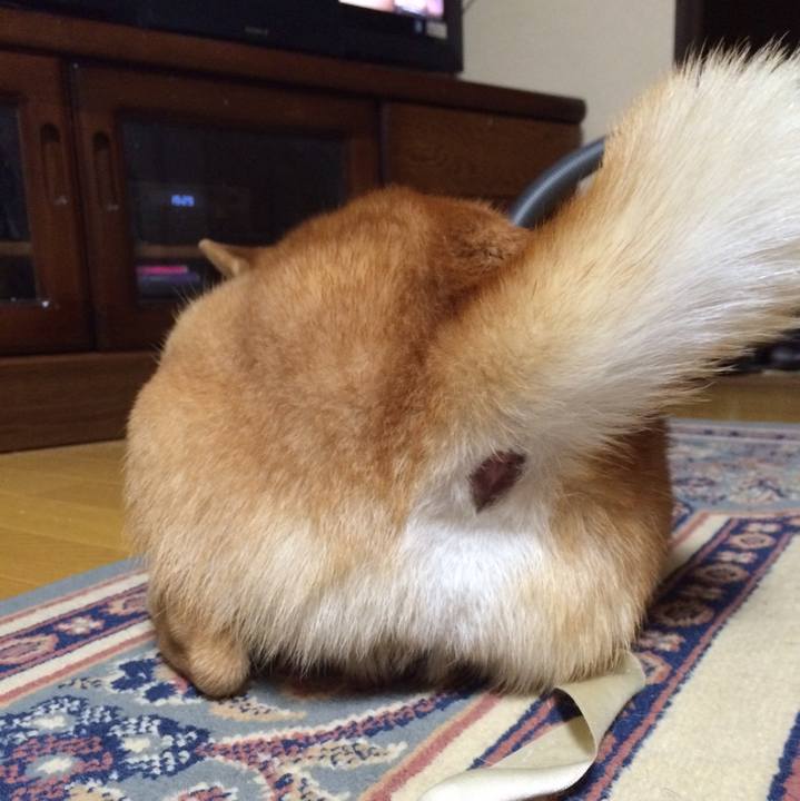 50729465 d596 497c 836e 1cca280a6348