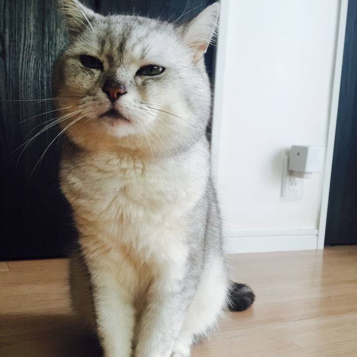 5072cc78 4b86 4be6 b314 6999bcc8087b