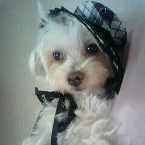 50731025 47be 4ec3 a94a 183c9af4e79a