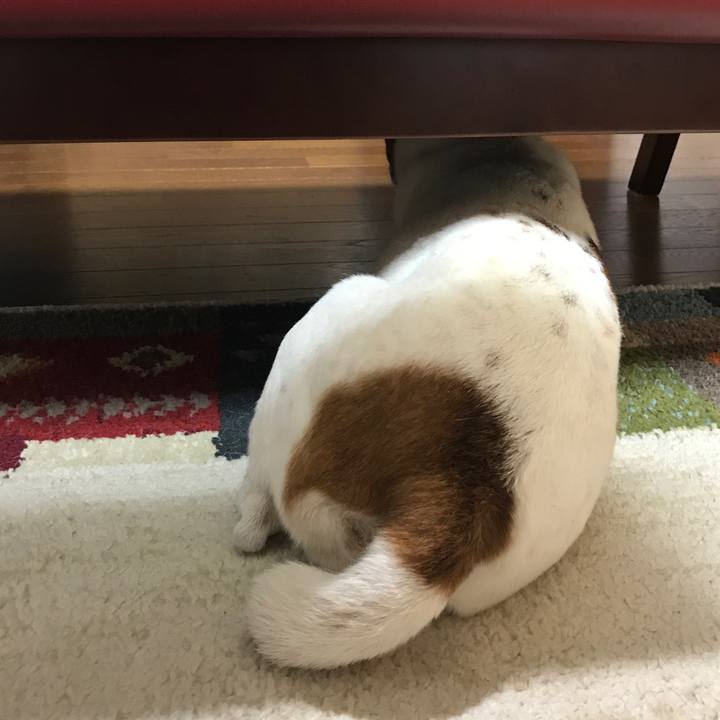 50731cc4 471e 45c3 87e7 8b2d8bacbc0a