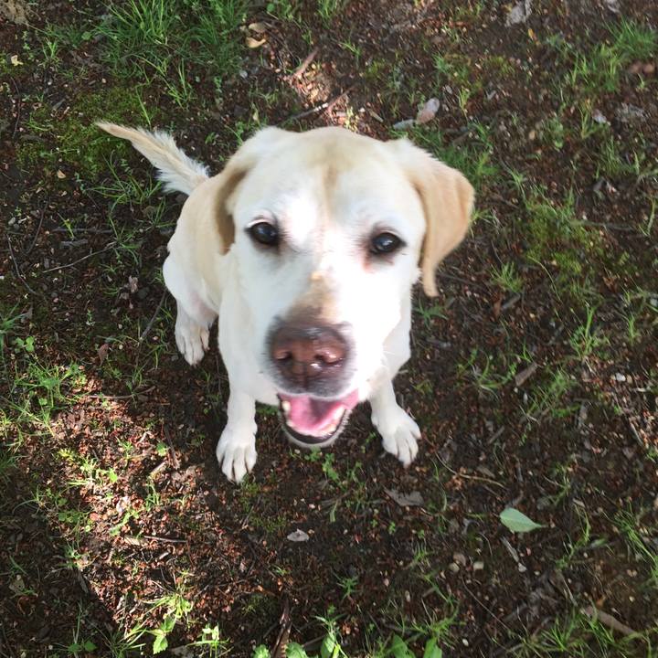 50745f38 ed8d 4ae7 b457 e99486bc5aa3