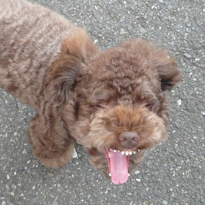 5074aba8 b0e4 4bf2 8969 c6f56be9383d