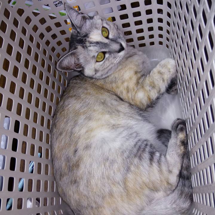 5075491c e983 4a74 9e93 929fbfeeb1ba