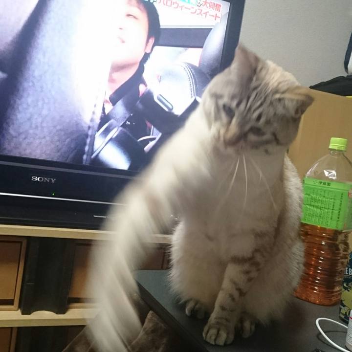 5075a595 add2 4514 be5f d0049b92025c