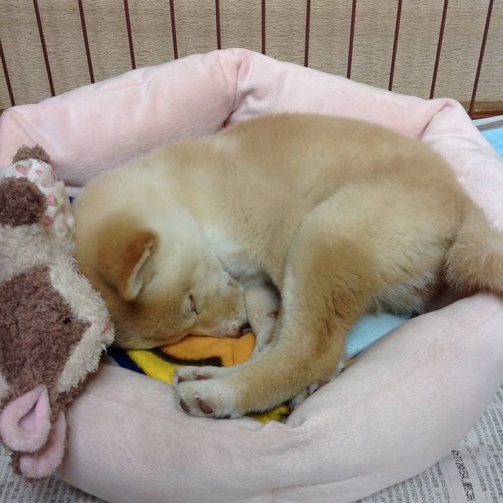 5075a676 b1b6 4168 9f67 80006a77eb92