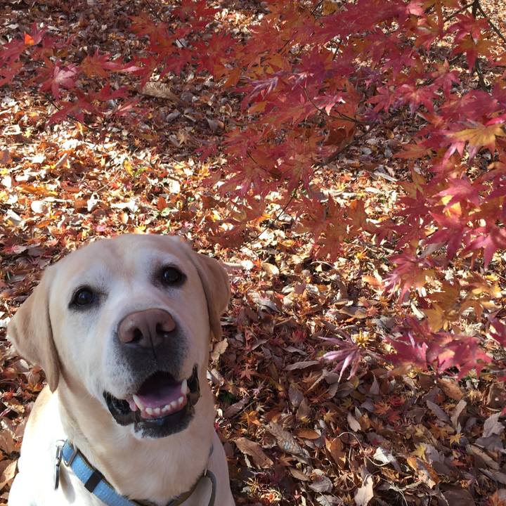 5076810b 5ebc 4525 8a24 86a6b50d0268