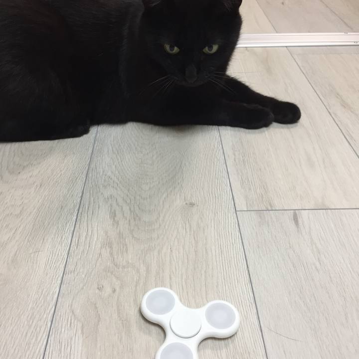 5076a28c 0104 4d21 be07 bc4bf3d66ef3