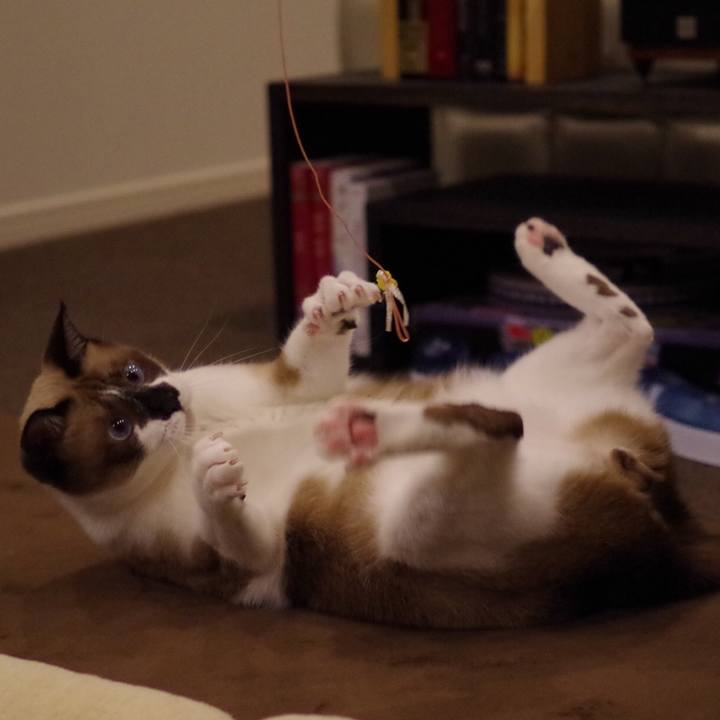 5076ae9e a6a5 45c2 9834 81fec93dd832