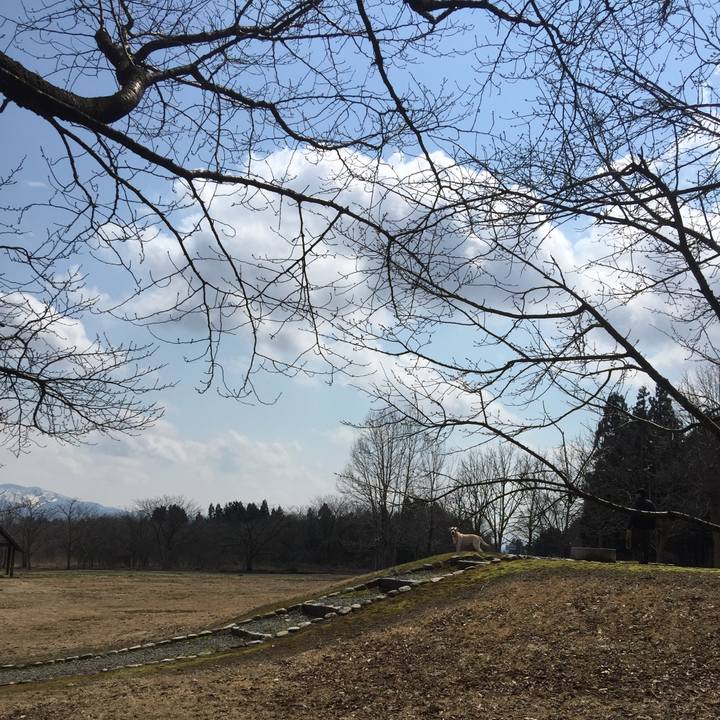 50776f70 c28f 49ae b742 fc1f84ee5e98