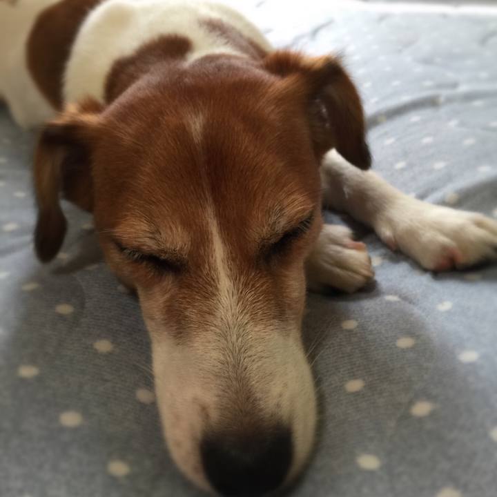 5078a8ab bc54 4401 a5bd dd1a9c533d05