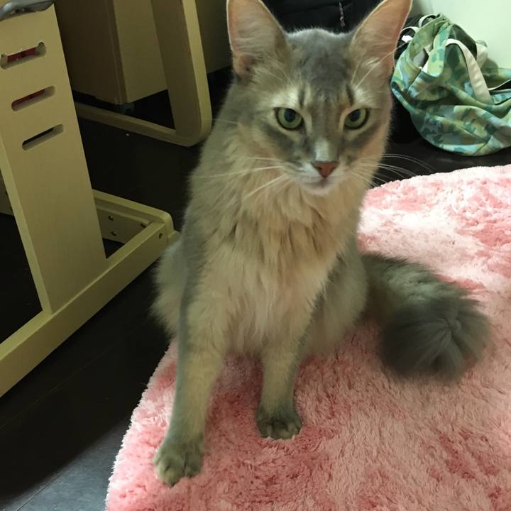 5078b651 ba45 48e8 8eff 9ce2605f2327