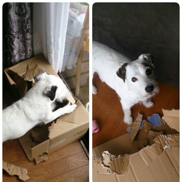 50798b68 6d62 448c a3a4 8069a852f23c