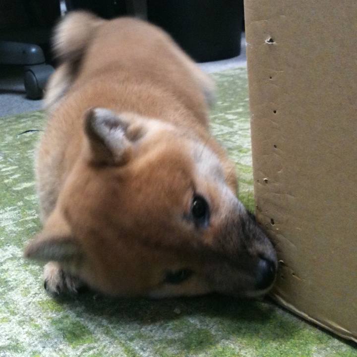 5079b7f1 ea0a 4730 a0f4 4b5025806a5e