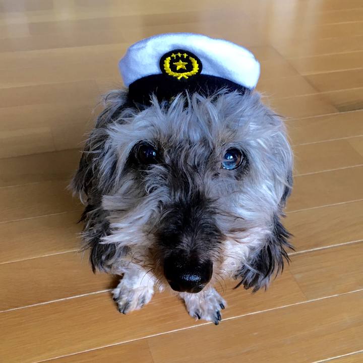 5079ebeb e09d 45a5 8995 cd0c24a2da63