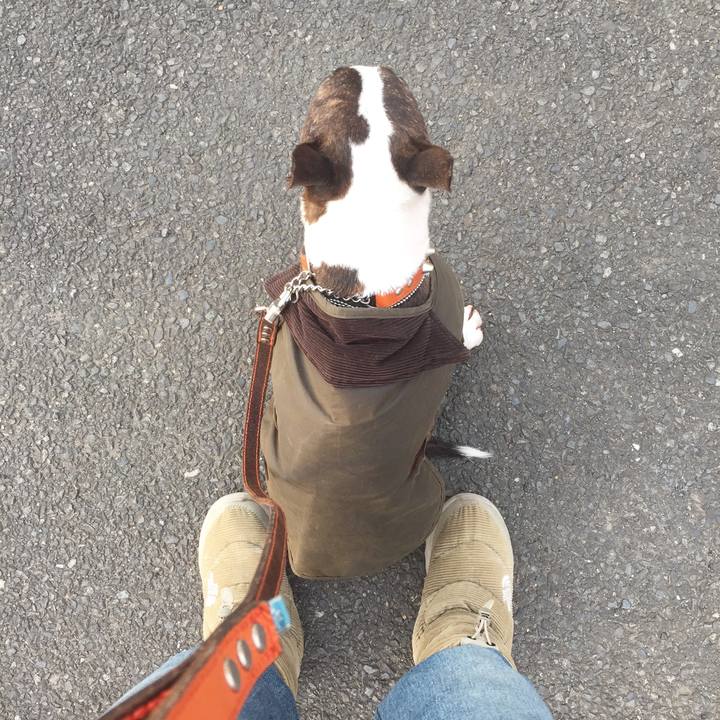 507ad00e 1f53 4c24 9b29 af8329bf69e5