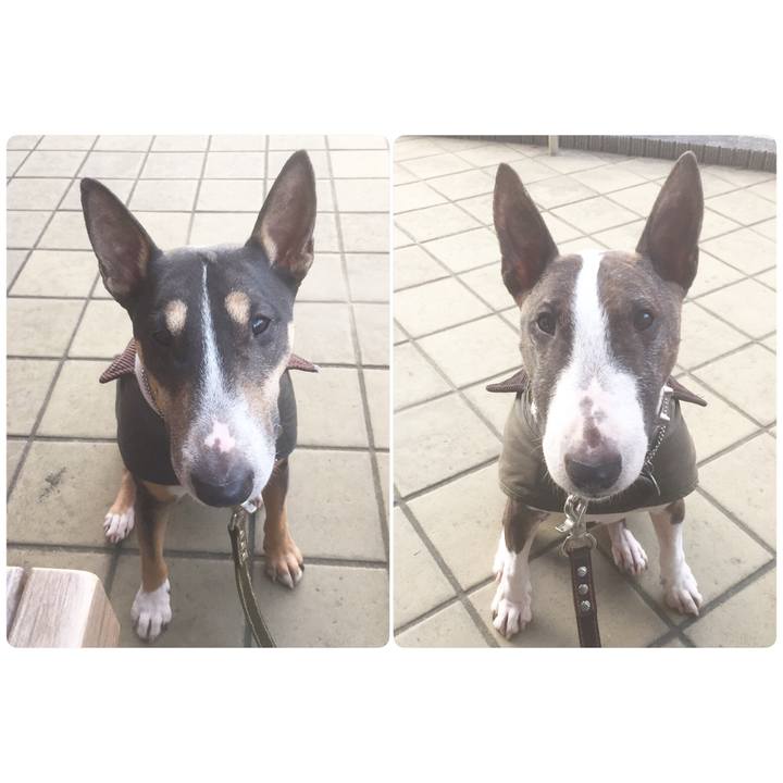 507b45db 7495 4536 9565 1f0b9ea8517a