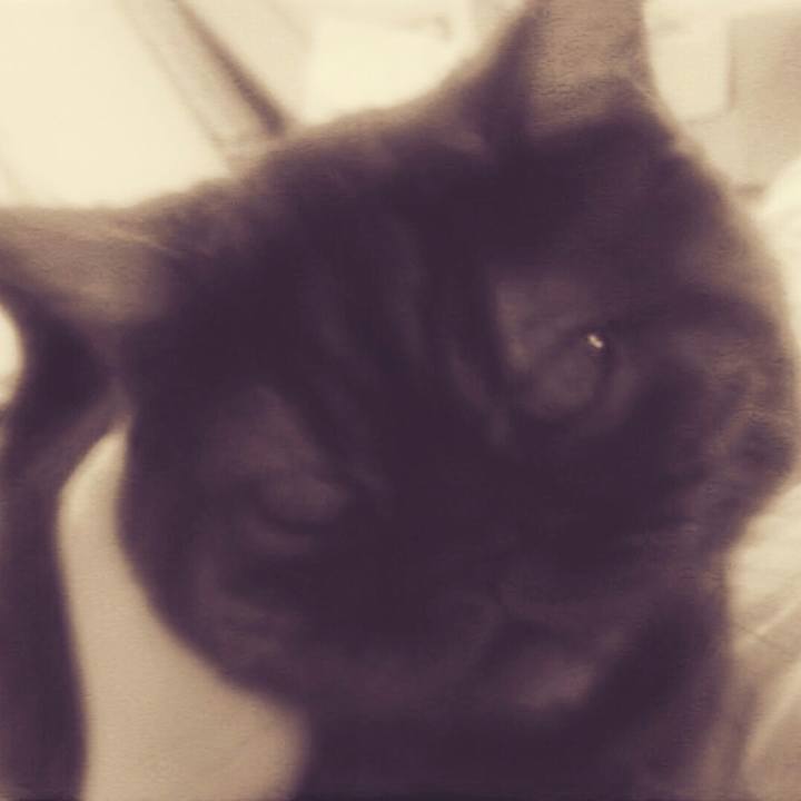 507b8e02 e676 4325 a590 b313e0eab6bd