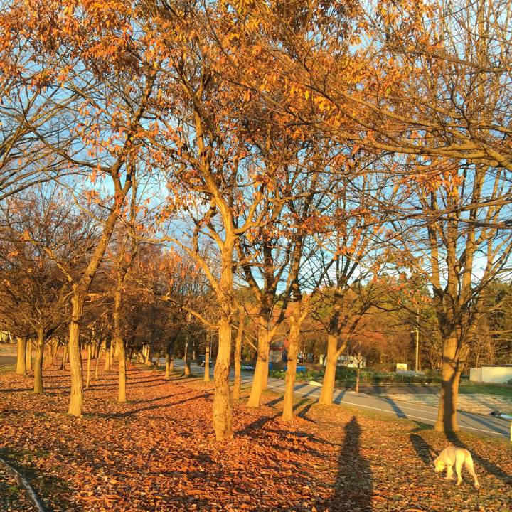 507c0cd4 b020 4895 b2fa a6dc4e2c7103