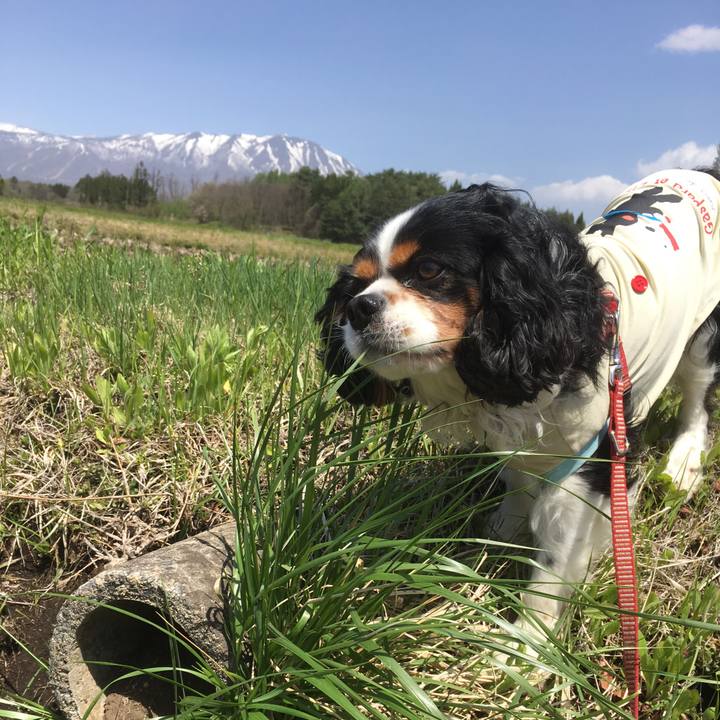 507c2a2d f030 4e49 891f 7a3bc5aad58b