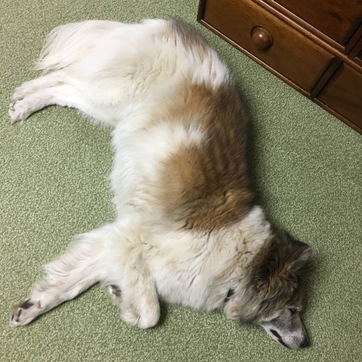 507c429f 7816 4299 8d23 7005841f15fe