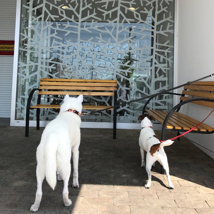 507c4e23 dad0 4035 9df3 0eaf65cd8b59