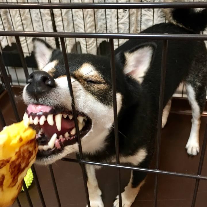 507c7704 99a4 4827 9c53 748b762b0f3d