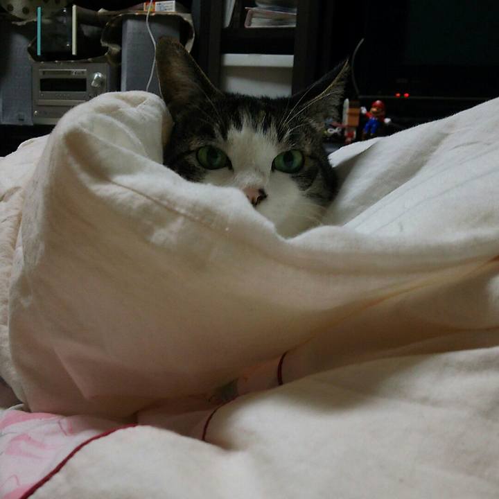 507d5aef f315 4925 b156 e96f916c7478